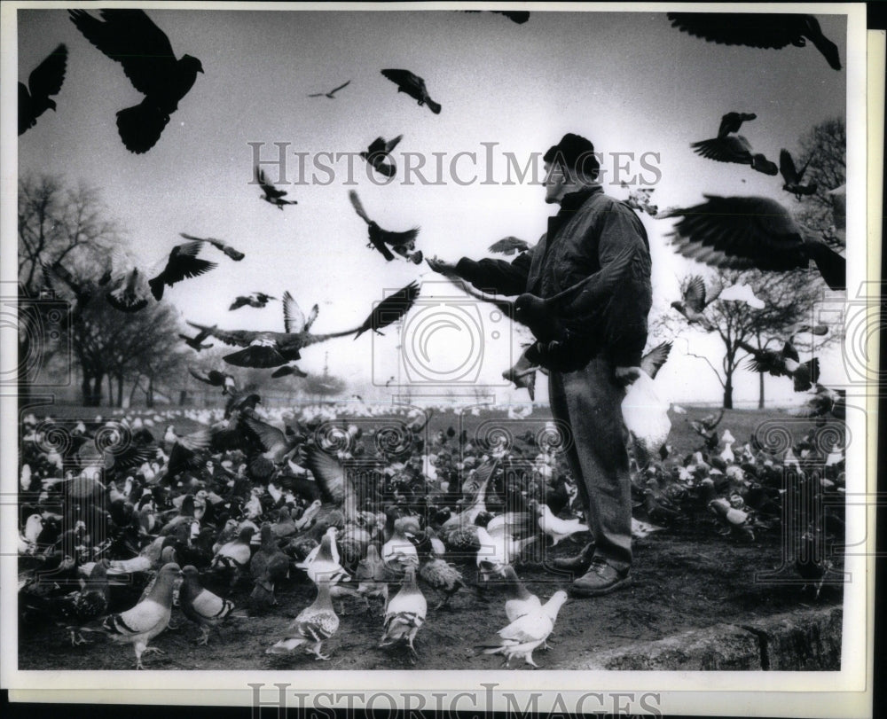 1986 Press Photo Pigeon Outstretched Rudy Campbell Bird - Historic Images