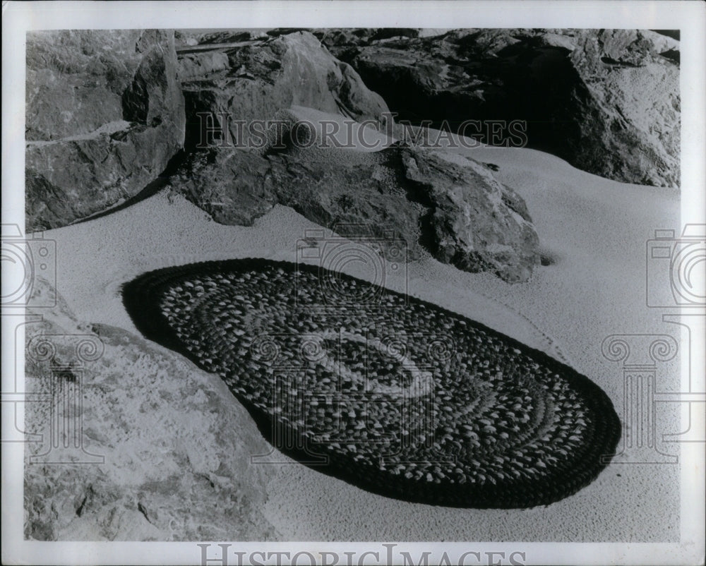 1984 Braided oval area rug  - Historic Images