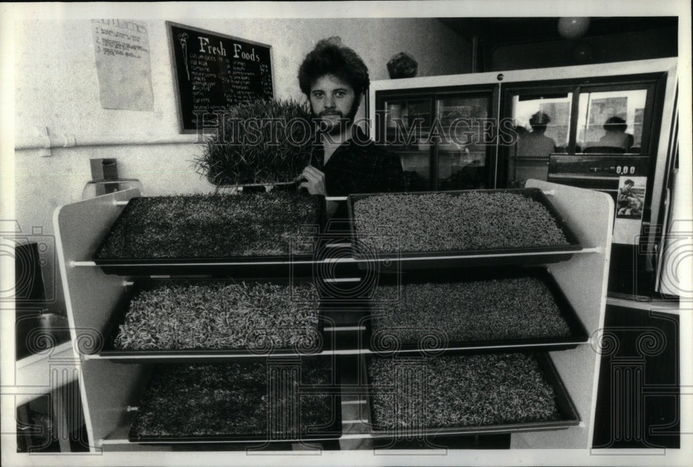 1979 Press Photo Vegetable Sprouts Homegrown Ed Kugler - RRU93113 - Historic Images