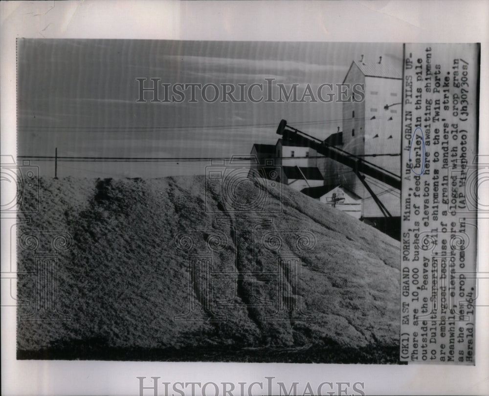 1964 feed barley Peavey Co. elevator bushel-Historic Images