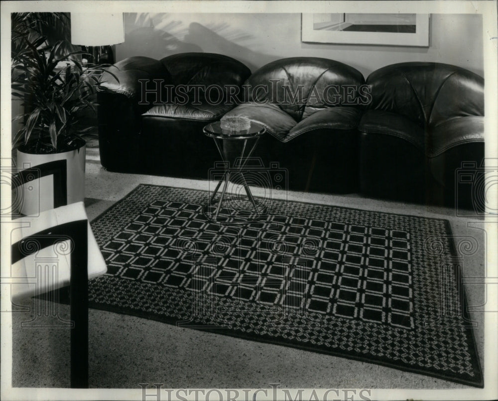 1976 Press Photo Bold European-inspired design Rug - RRU93311 - Historic Images