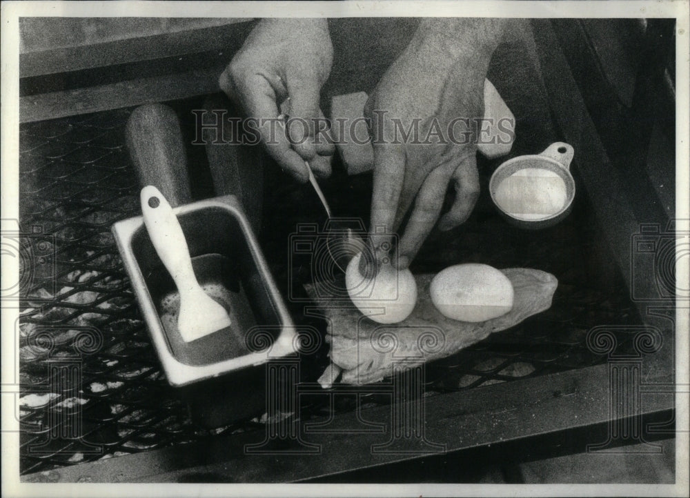 1981 Press Photo Chef Preparing Fish Filet For Grilling - Historic Images