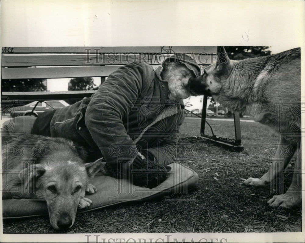 1987 Press Photo Ray Sunrise German Shepard Dog Pooch - RRU95063 - Historic Images