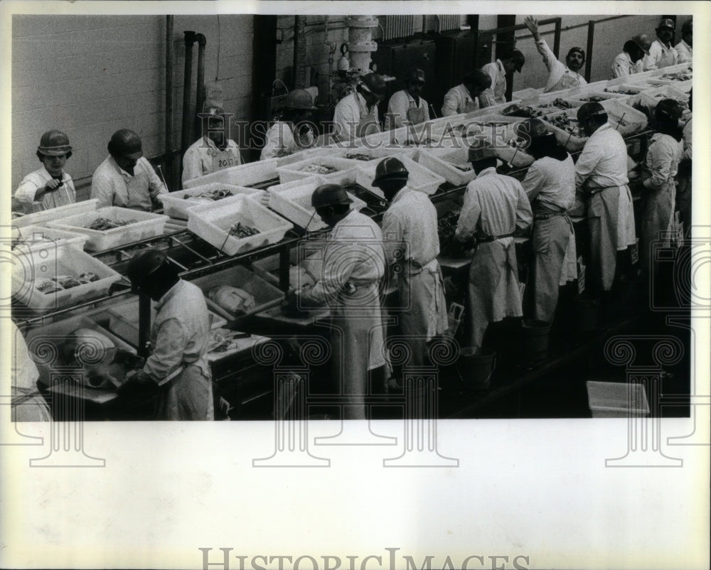 1983 Workers Agar Food Products Plant St-Historic Images