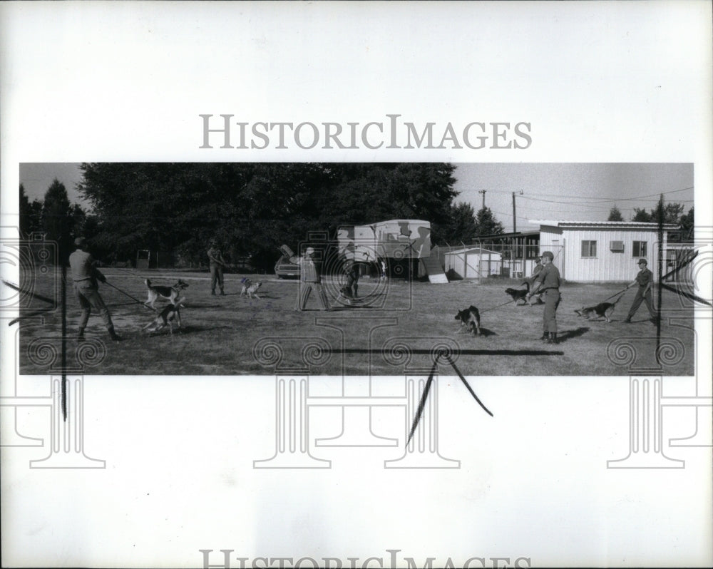 1982 Army canine training camp, Fort Bragg - Historic Images