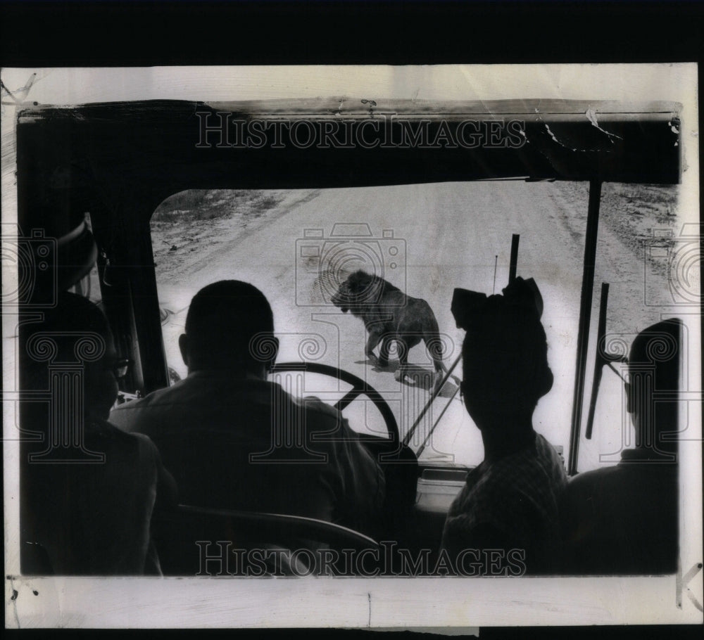 1970 Lion Country Safari Palm Beach Florida - Historic Images