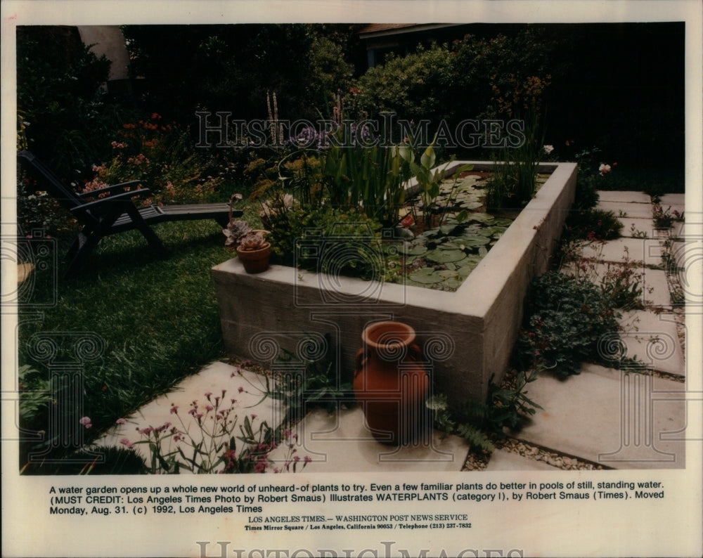 1992 Water Garden Has Unheard-Of Plants - Historic Images