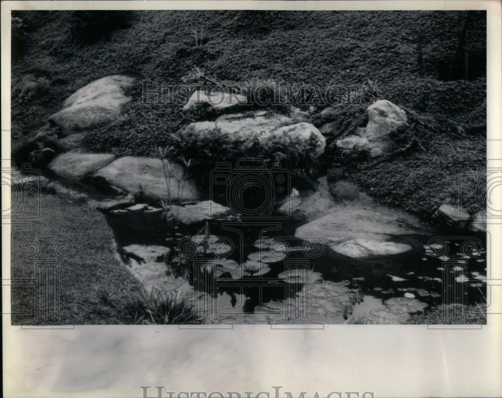 1987 Press Photo Water Garden - RRU98069 - Historic Images