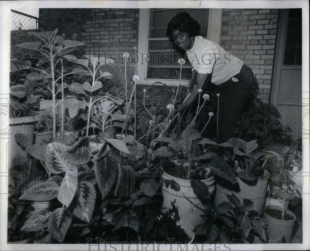 1984 Mary Williams Container gardening  - Historic Images