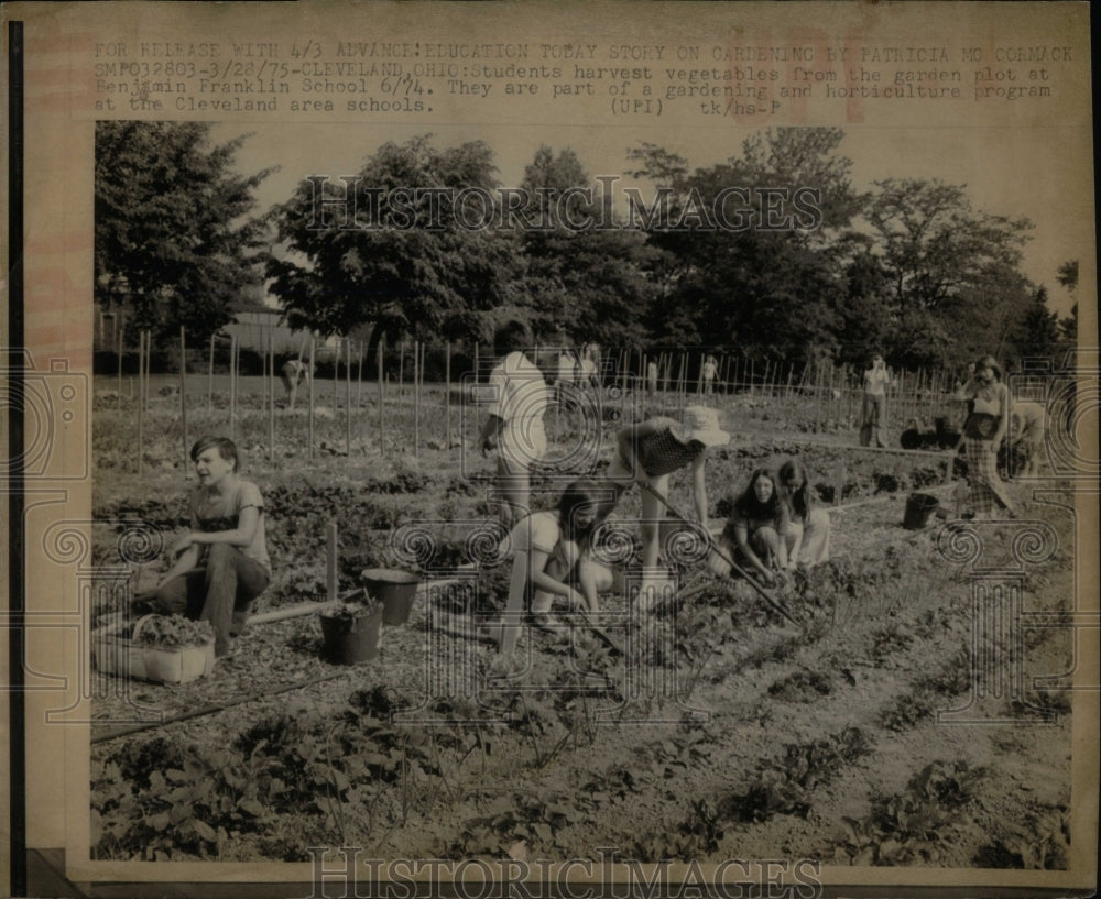 1975 Photo Students Harvest Garden At Benjamin Franklin - Historic Images