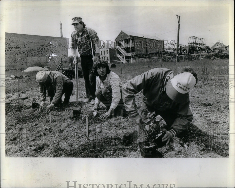 1982 Chicago Vegetable Gardens/Agriculture-Historic Images