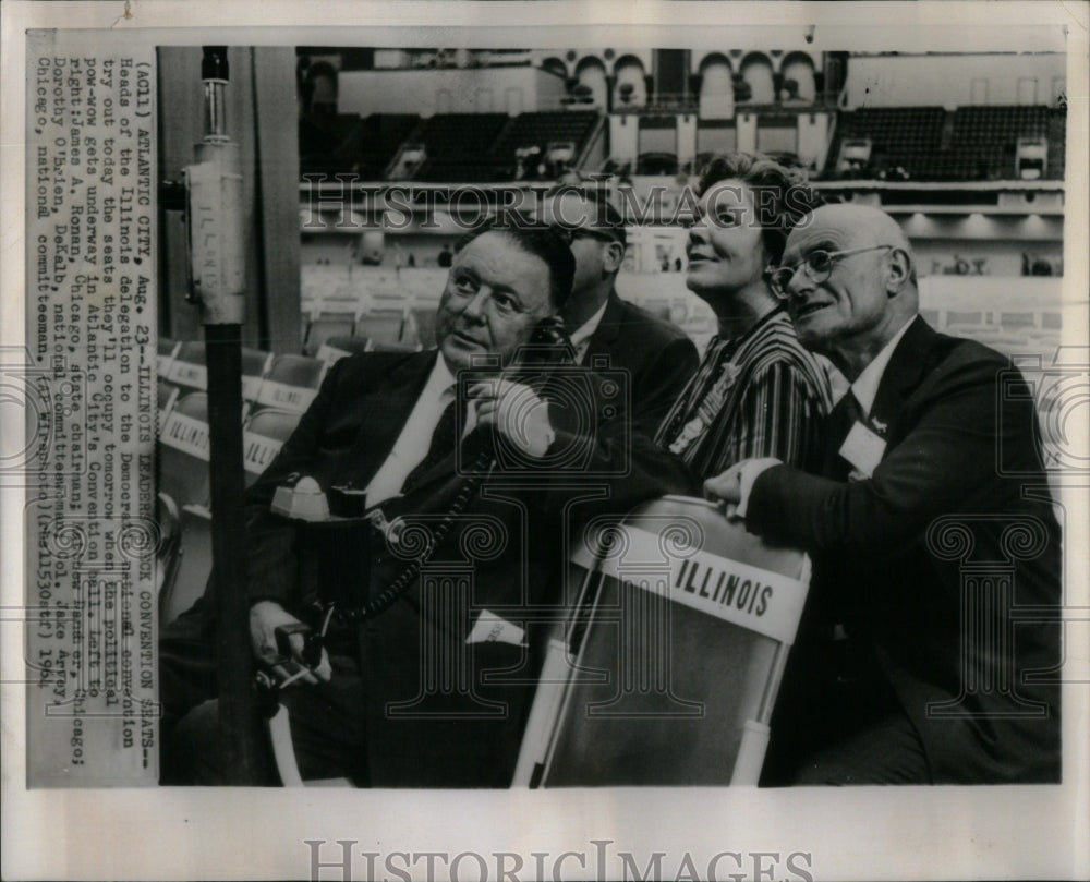 1964 Press Photo Illinois delegates Democratic Convent - RRU98867 - Historic Images