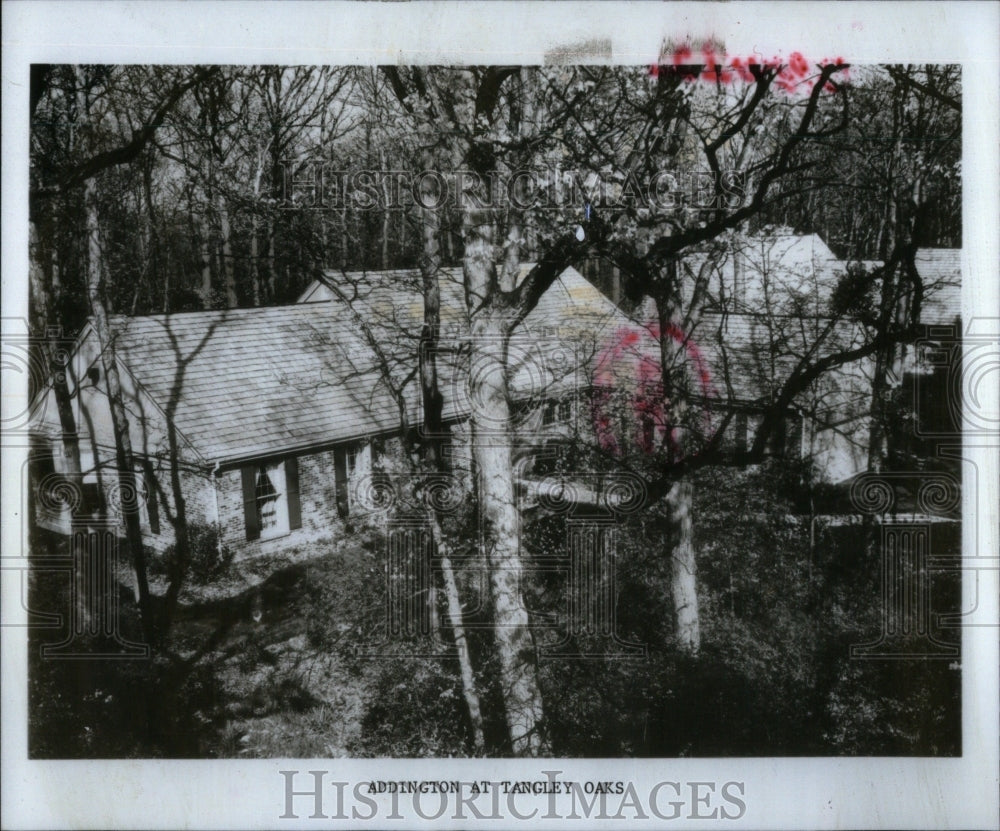 1981 Press Photo Adding ton Ill Tongley Oaks family - RRU99557 - Historic Images