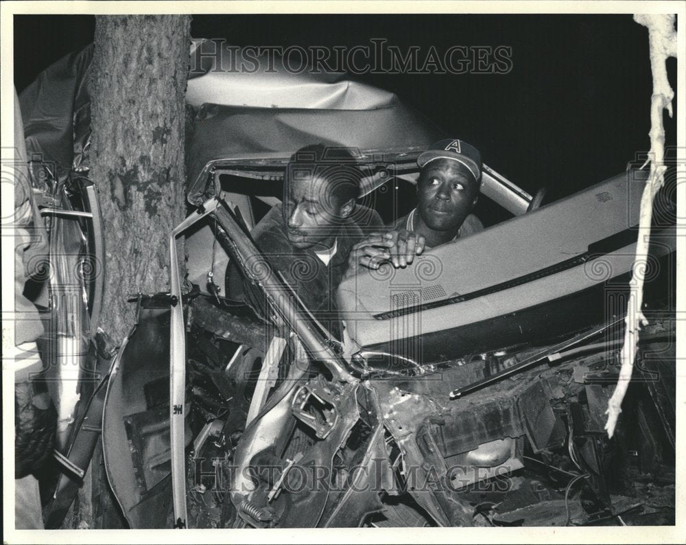 1986 Anthony Barnes Lake Shore Street Tree - Historic Images