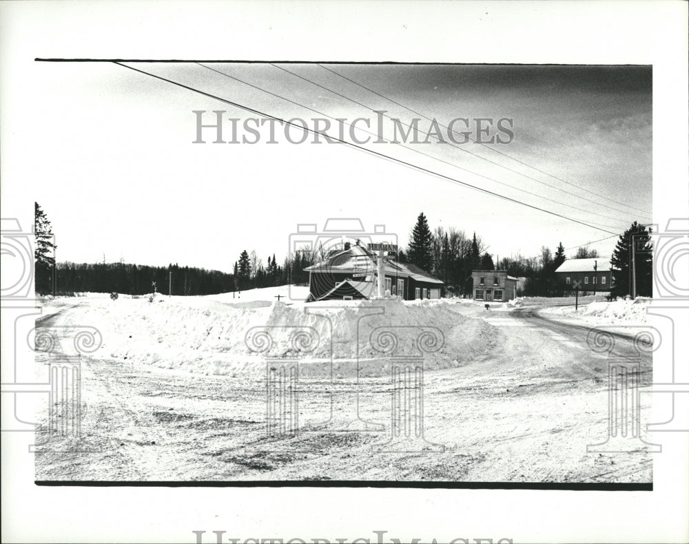 1981 Press Photo Michigan picture house snow Herman - RRV01651 - Historic Images