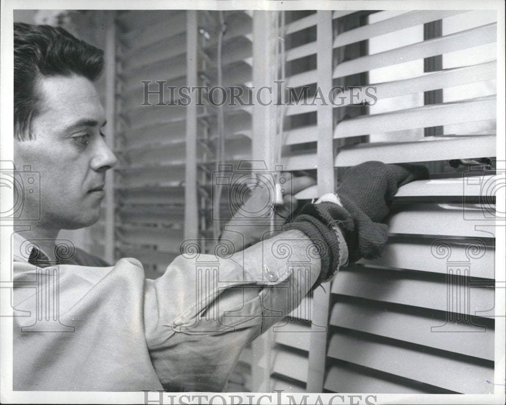 1960 old socks cleaning venetian blinds - Historic Images