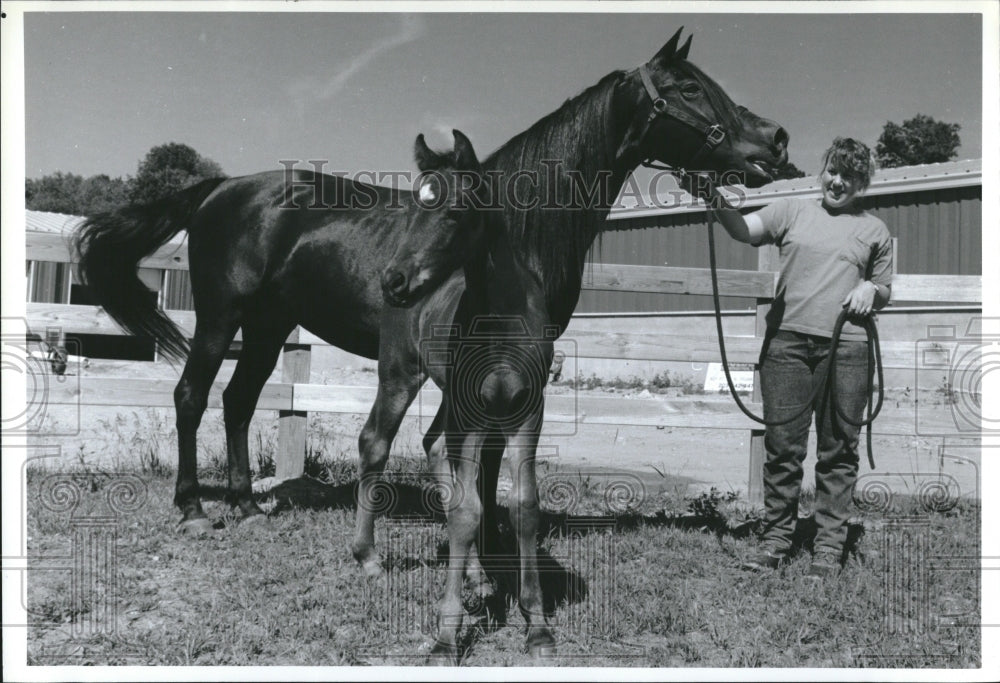 1991, U.S. Cavalry horses breeding program - RRV02213 - Historic Images