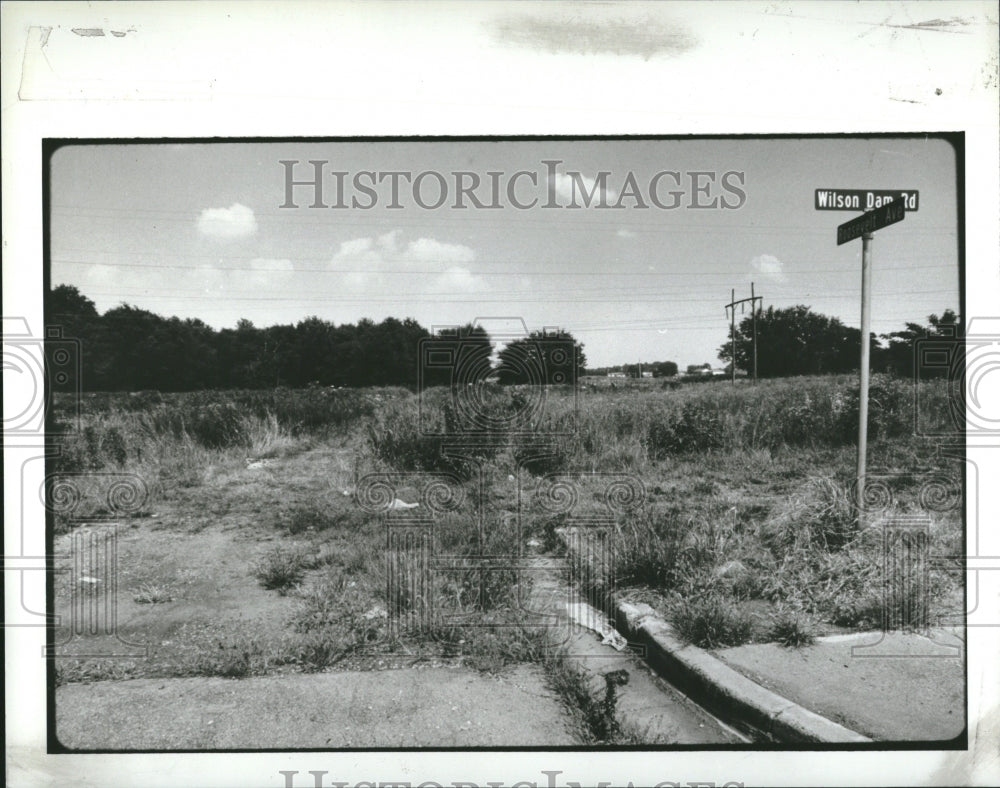 1990, Vacant Street Grim Edison Ford Henry - RRV02833 - Historic Images