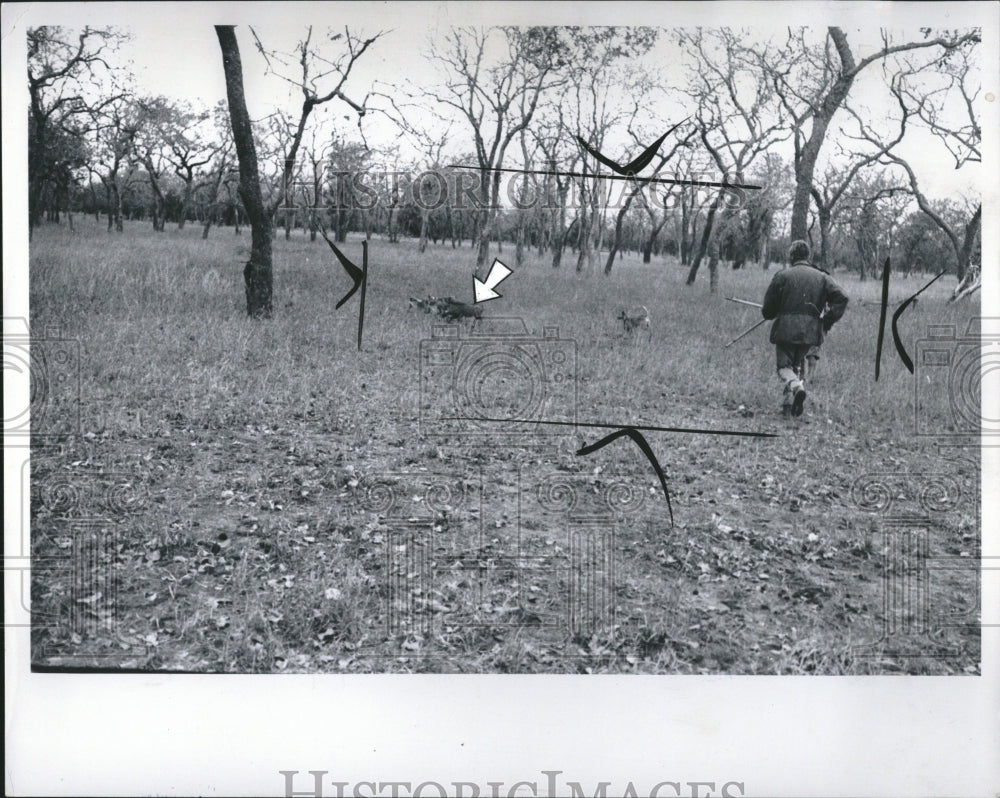 1965 Hunting Barn Werner Von Alvenslebin - Historic Images