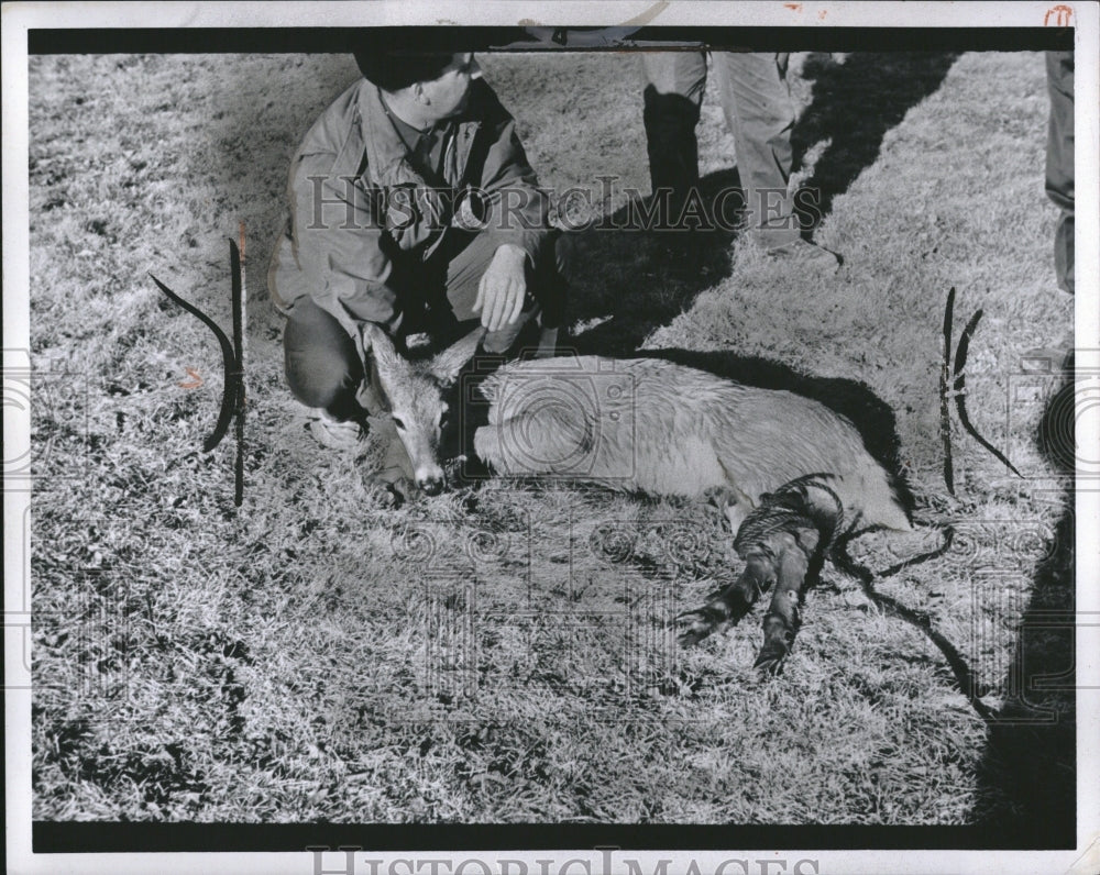 1969 Deer Hunting In Michigan - Historic Images