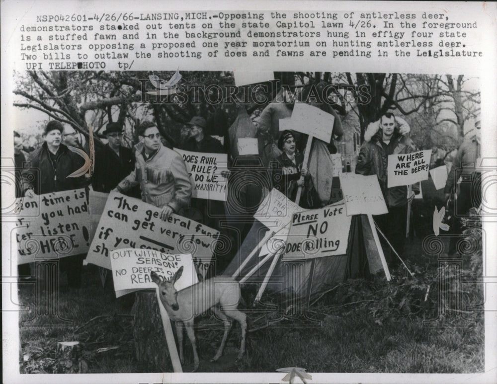 1966 Antlerless Deer Shooting Hunting Law - Historic Images