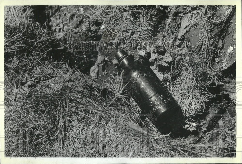 1981 Press Photo collectable soda water bottle 1880s - RRV04029 - Historic Images