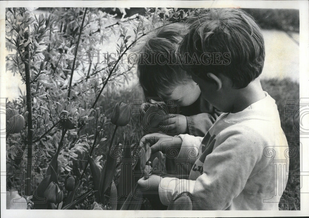 1971, Robert Mike Henry check tulips - RRV05185 - Historic Images