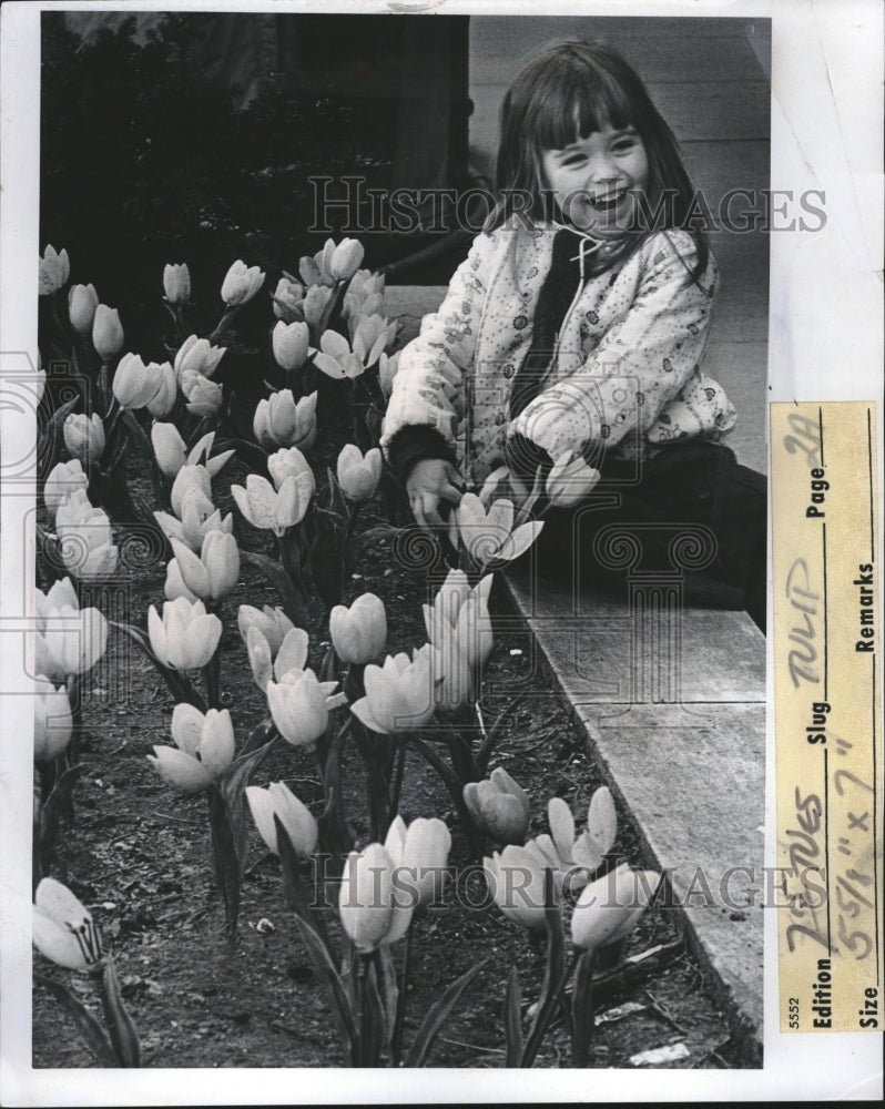 1974 Press Photo LIttle Girl Tulip Flower Wonder Land - Historic Images