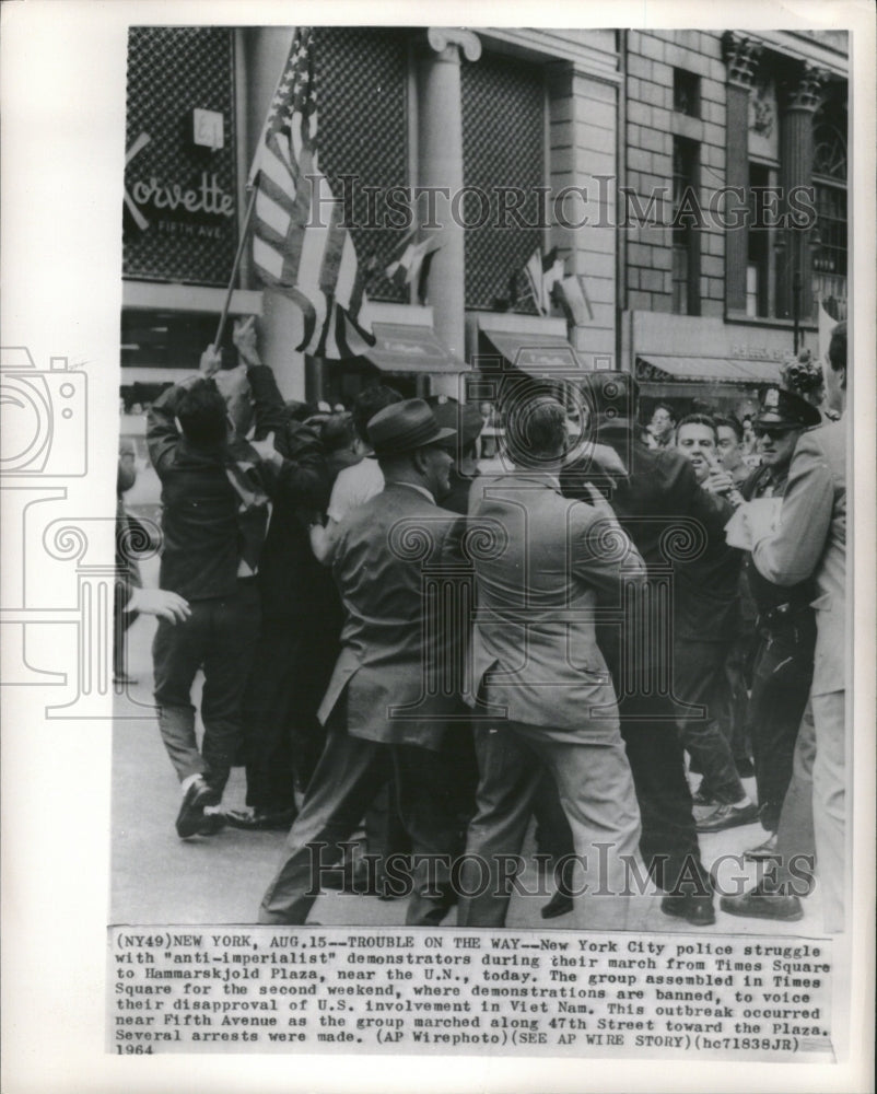 1964, Police Anti-Vietnam Protestors NY - RRV11001 - Historic Images