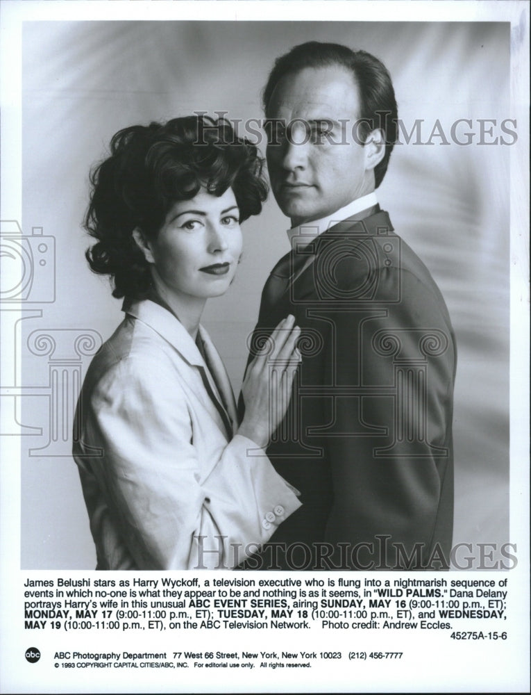 1993 Belushi and Dana in Wild Palms - Historic Images