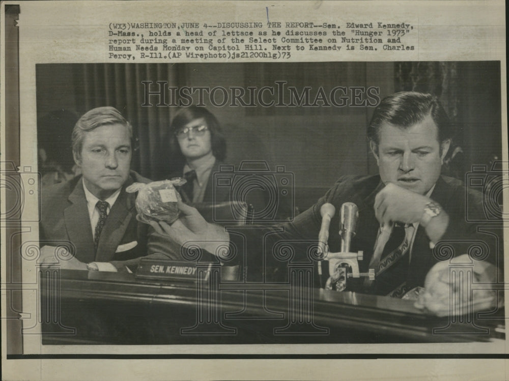 1973 Sen. Edward Kennedy At Meeting - Historic Images