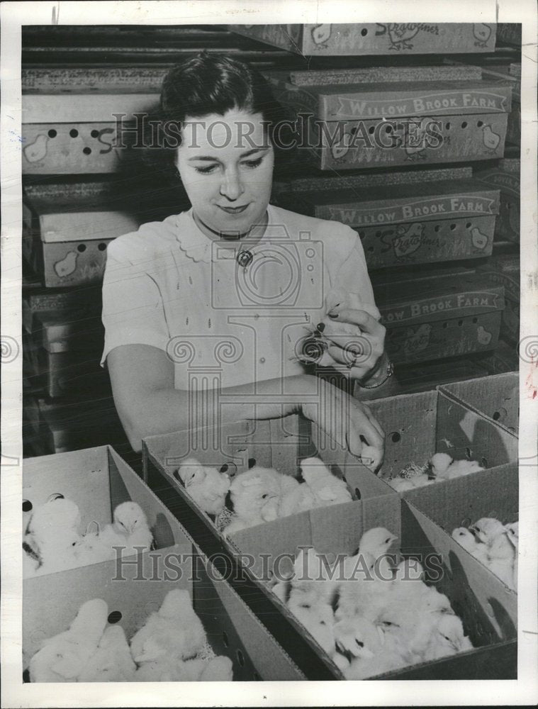 1955 Mary Jane Leader wife chicken business - Historic Images