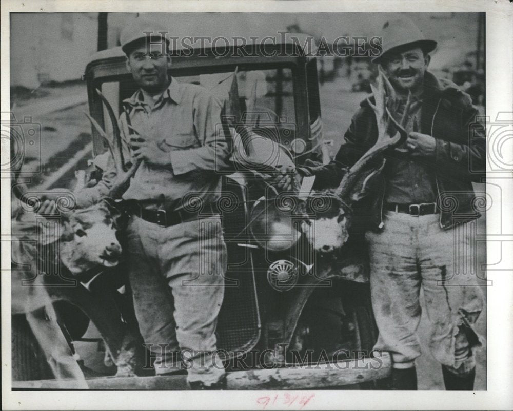 1959 Press Photo Don Bowman Australian Politician - Historic Images