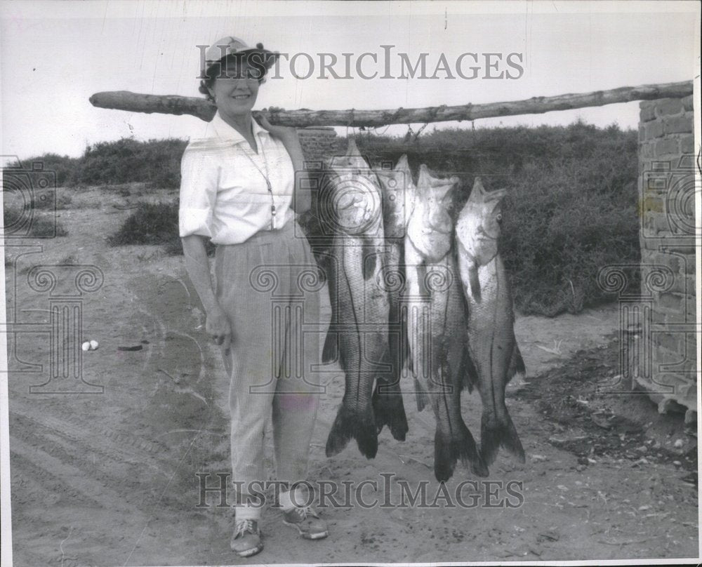 1962 Press Photo Jane Haywood - RRV23977 - Historic Images