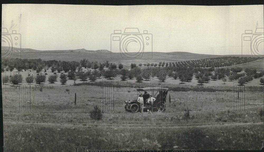 Press Photo Early 1900s Ford Automobile in a meadow - RRV25035 - Historic Images