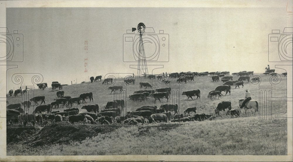 1976, Warren Huber Cowboy Ranch Foreman - RRV25445 - Historic Images