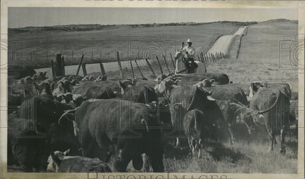 1976, Warren Huber cowboy ranch forman Phipp - RRV25447 - Historic Images