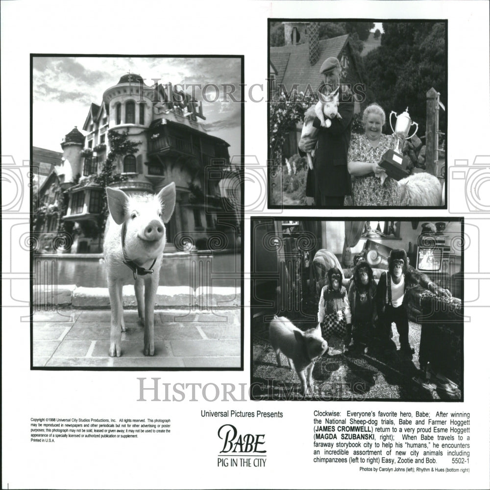 1998 Press Photo James Cromwell Babe Pig in the City - Historic Images
