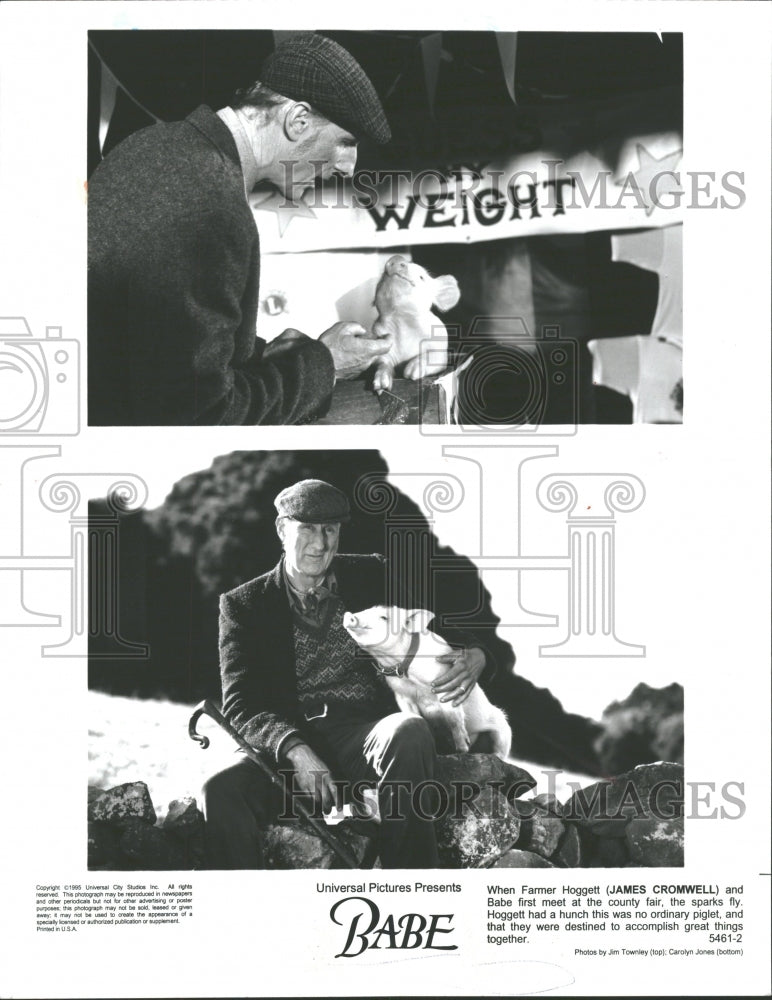 1995 Press Photo Babe Film Promo Shots Cromwell - RRV35741 - Historic Images