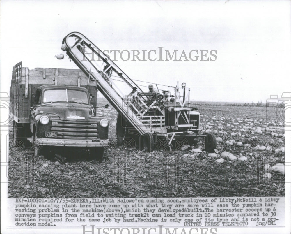 1955 Havester Libby McNeill Libby Pumpkin - Historic Images