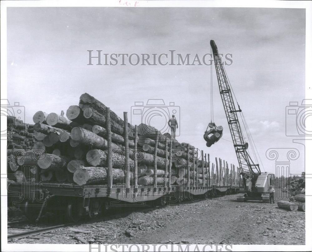 1955 Sullivan employees loading lumber - Historic Images