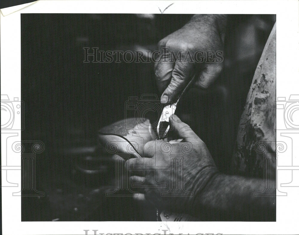 1984, Shoemaker Alex Burch Demos Shoe Repair - RRV37687 - Historic Images