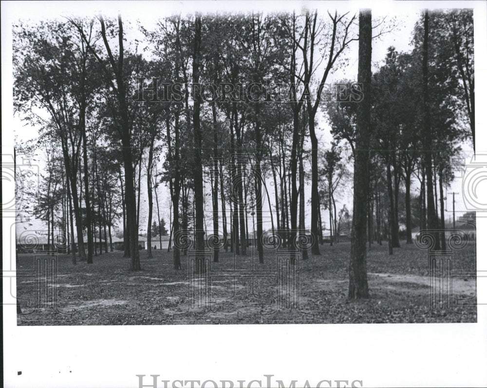 1968 Press Photo Harper Wood Detroit Michigan - RRV39409 - Historic Images