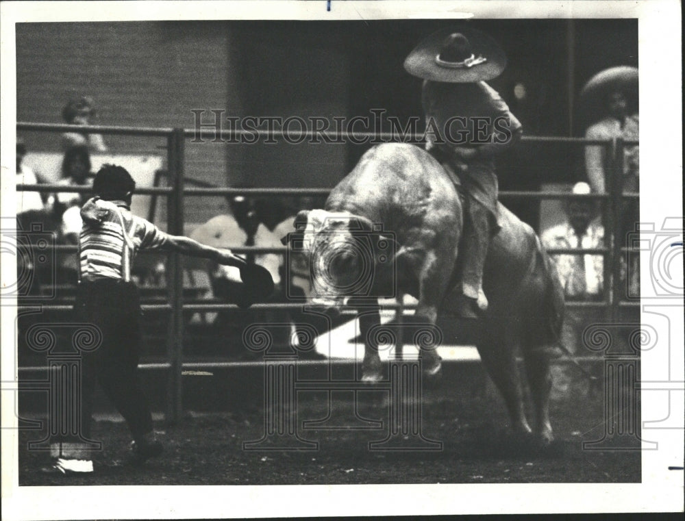 1978 Brahma Bull Riding Mexican Rodeo - Historic Images