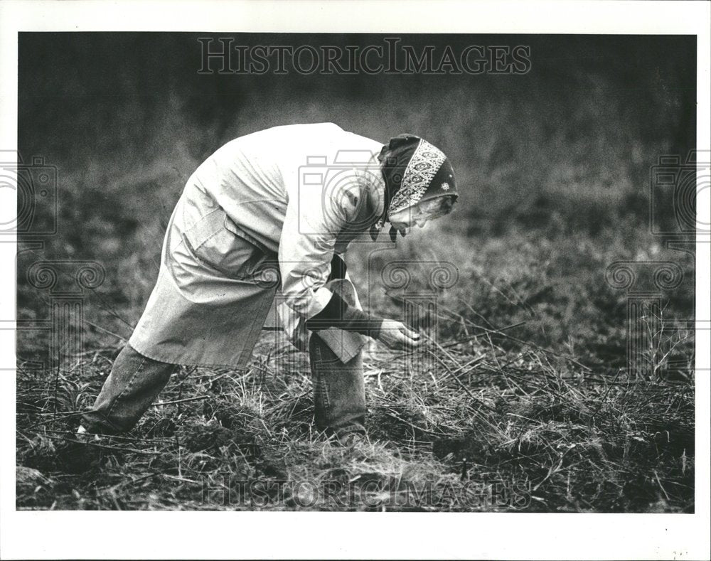 1990 Archeologist Jane Taylor - Historic Images