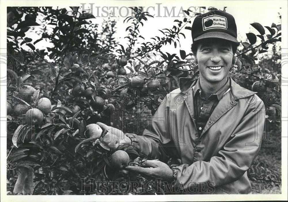 1981, Apple Dish Nye Orchard Empire Fruit - RRV41287 - Historic Images