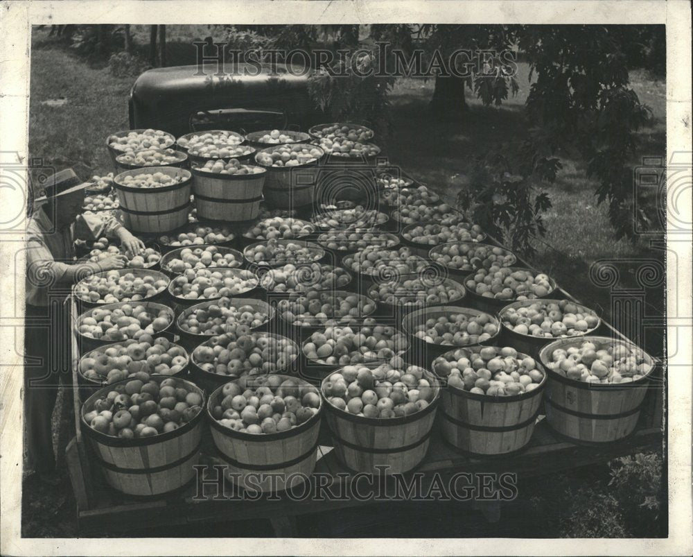 Dellis Buzbee And  Bushels of Apples - Historic Images