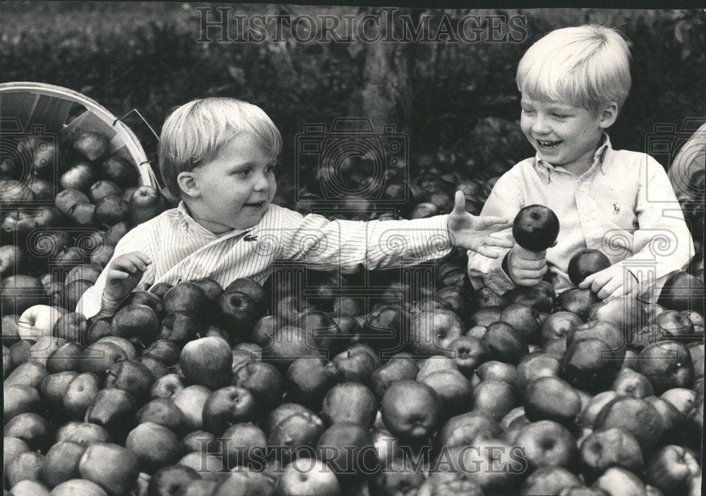 1986 Press Photo Boys Playing In Apples - Historic Images