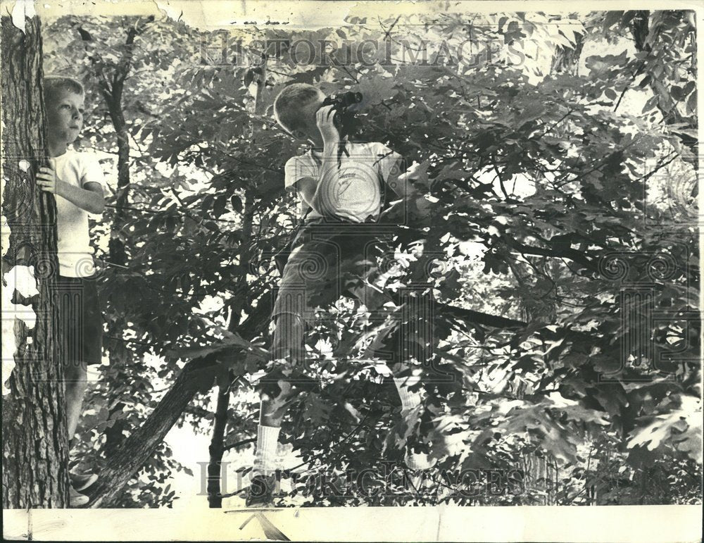 1965 Ravinia Children Concert Two Boys Tree - Historic Images