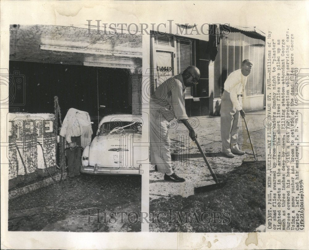 1954 Press Photo Paul Million May Shad Flies Area River - RRV41849 - Historic Images